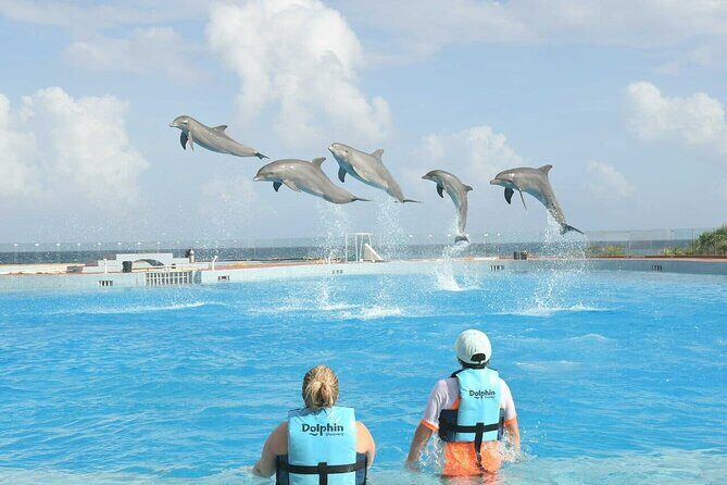 Tulum & Dolphin Connection from Cancun - Coba and the Nohoch Mul pyramid steps: worth it, if you’re ready