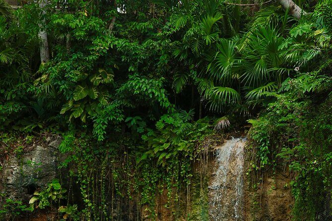 Tulum Essence Art and Photography Tour - Small group energy (max 12) and how that affects your photos