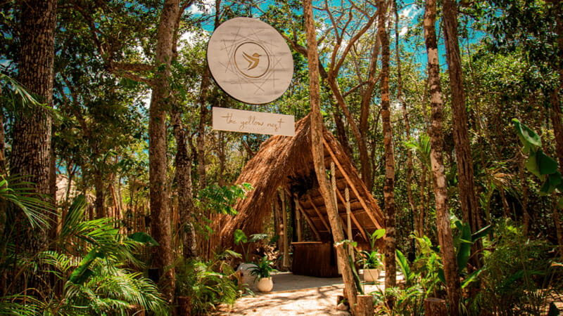 Tulum: Floating Breakfast in The Yellow Nest (Day Pass) - Finding The Yellow Nest in Tulum: welcome drinks and a smooth start