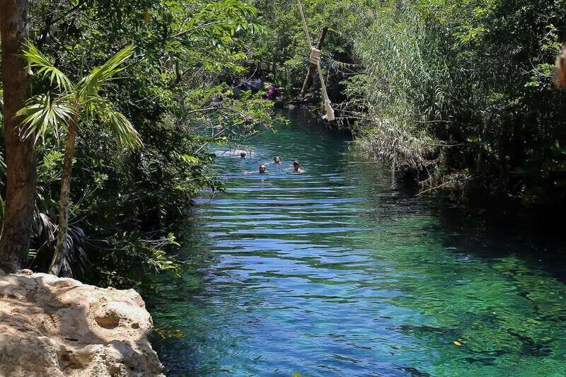 Tulum: Guided Bike Tour of Tulum Ruins, Tacos & Cenote - Melipona Maya Bee Foundation: stingless bees, honey tasting, and a nature reset