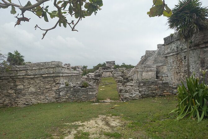 Tulum Guided Tour and Cenote Swim from Playa del Carmen - Price and Value: What You Pay For (and What You Still Need)