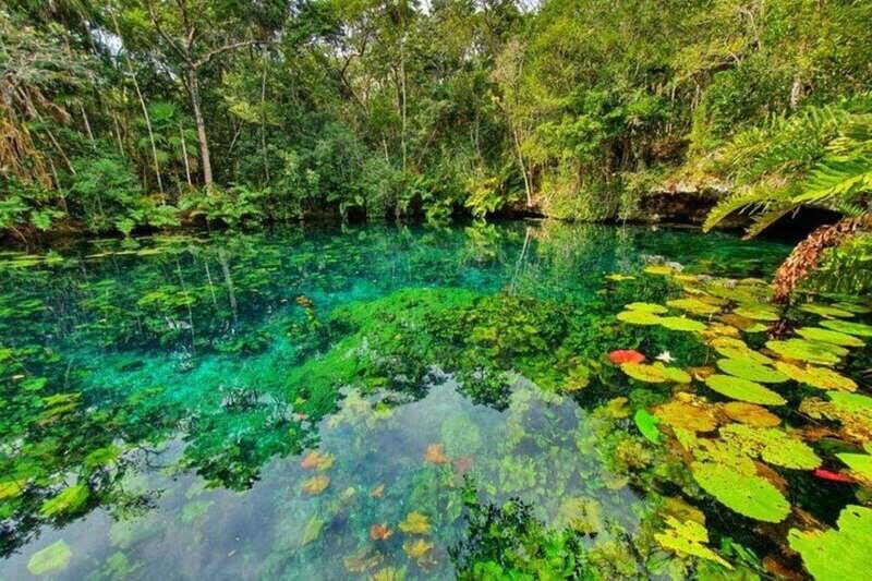 Tulum: Half-Day Adventure Zip line Cenote in Mayan Community - Key Things You’ll Care About