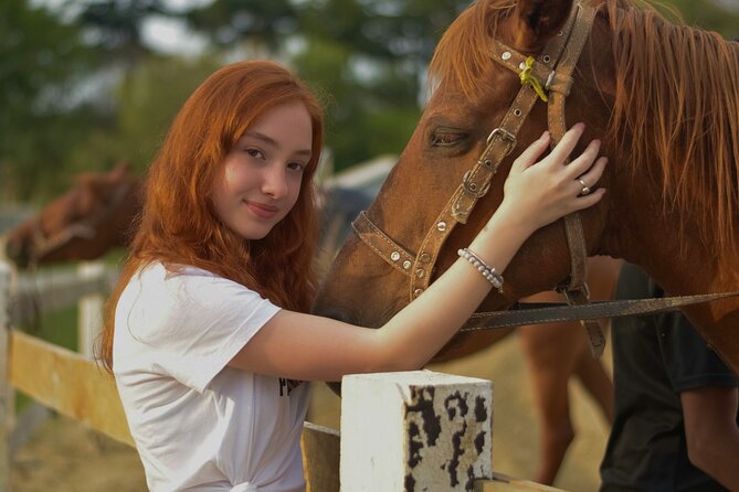 Tulum Jungle Horseback Ride + ATV + Ziplines + Cenote Combo Tour - Key things I’d bank on