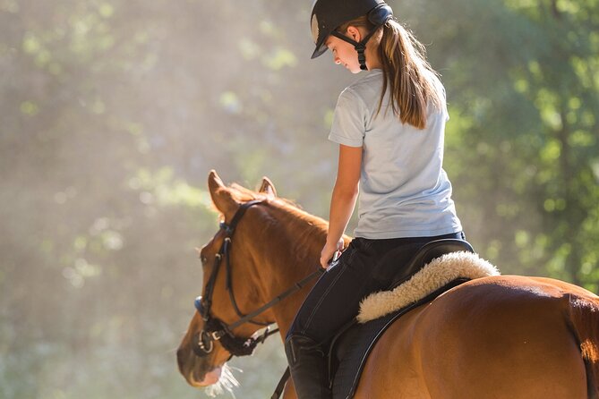 Tulum Jungle Horseback Ride + ATV + Ziplines + Cenote Combo Tour - The real vibe: an organized “jungle greatest-hits” day