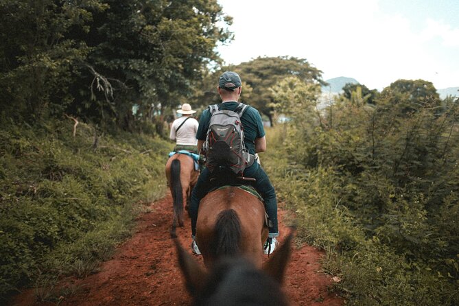 Tulum Jungle Horseback Ride + ATV + Ziplines + Cenote Combo Tour - Zip lines and the short wall rappel: adrenaline with a limit checklist