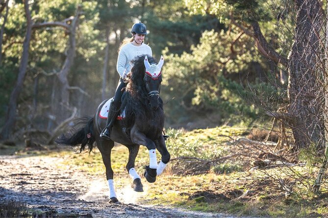 Tulum Jungle Horseback Ride + ATV + Ziplines + Cenote Combo Tour - Price at $125: what you truly get for the day