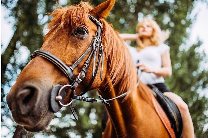 Tulum Jungle Horseback Ride + Cenote Dip & Traditional Lunch - Who should book this horseback + cenote combo
