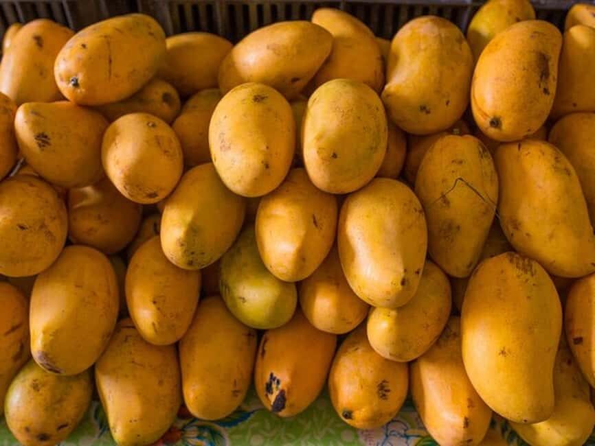 Tulum: Mexican Cooking Class in Local Home - Location and Meeting Point: How to Actually Find It