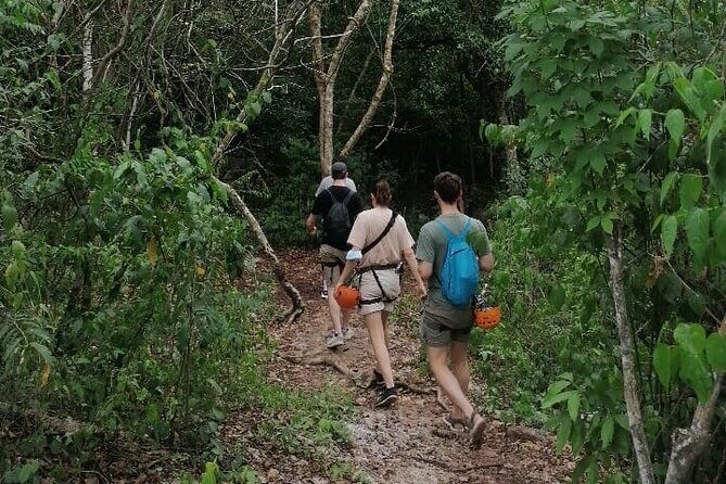 Tulum Monkey Sanctuary Tour Punta Laguna - Punta Laguna Nature Reserve in Tulum: monkey sanctuary vibes with real jungle pacing