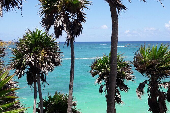 Tulum Private Boat Tour & Turtle Snorkeling Experience - Timing and comfort tips that make the day feel smoother