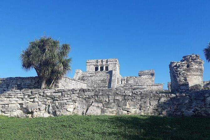 Tulum Private Boat Tour & Turtle Snorkeling Experience - How the tour handles real ocean conditions