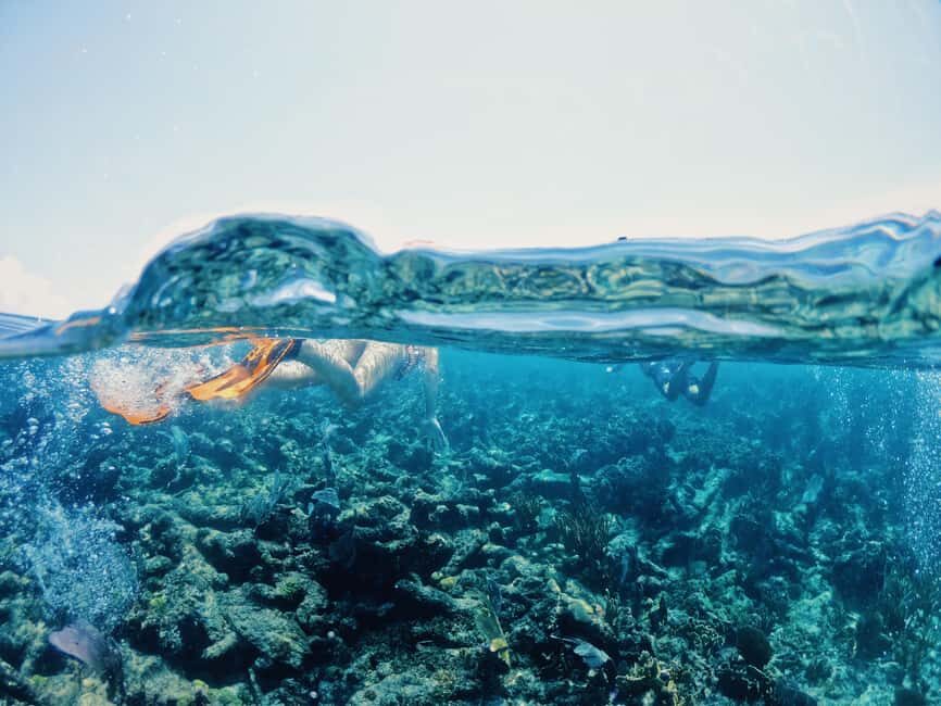 Tulum: Private Snorkel and Sailing Experience - Booking this private snorkel and sail: should you do it?