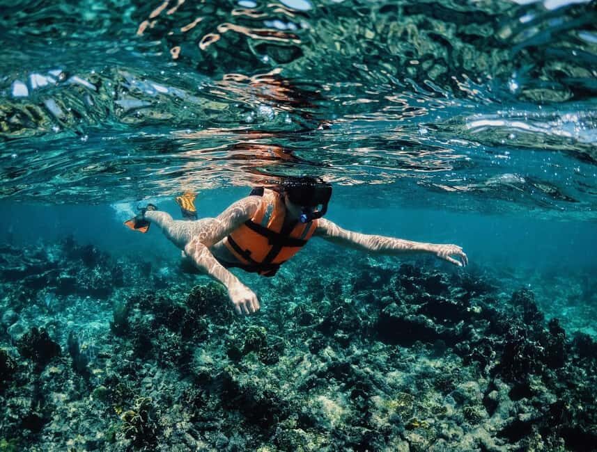 Tulum: Private Snorkel and Sailing Experience - Reef snorkeling on the Mesoamerican Reef: what you’re really looking for