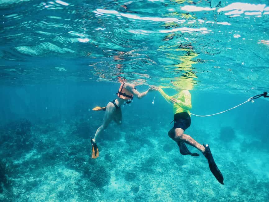 Tulum: Private Snorkel and Sailing Experience - Price and real value: what the $80 covers (and what to budget)