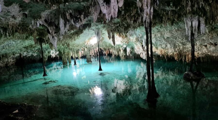 Tulum: Private Tour 2 Cenotes Sac Actun, the longest underground river in the world - The full 5-hour flow: pickup, two cenotes, then a real food stop