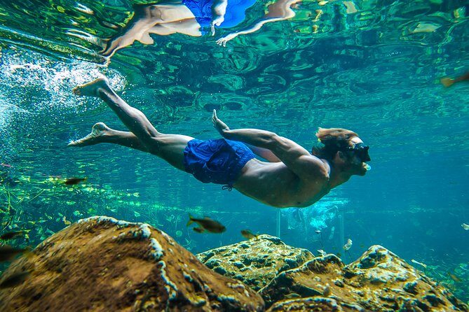 Tulum Ruinas and Tortugas Express - What this tour feels like day-to-day: fast pacing, clear priorities