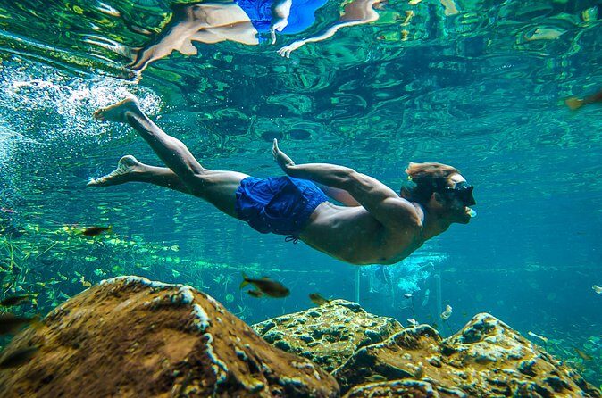 Tulum Ruinas and Tortugas Express - Should you book Tulum Ruinas and Tortugas Express?