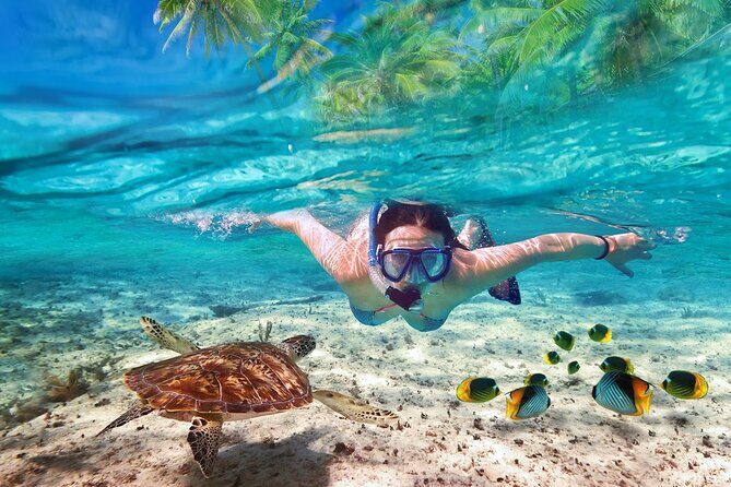 Tulum Ruins and Turtles Express - Quick hits before you book