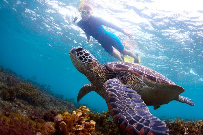 Tulum Ruins and Turtles Express - Comfort, gear, and what to pack (so the day stays fun)
