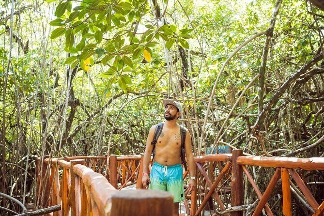 Tulum Ruins & Casa Tortuga Eco Tour! 4 Cenotes from Tulum City - Stop 2: Casa Tortuga Cenotes—Four Swims and the Value of a Good Guide