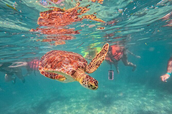 Tulum Ruins, Sea Turtles & Cenote Swim Adventure Tour - Key Highlights You’ll Actually Care About
