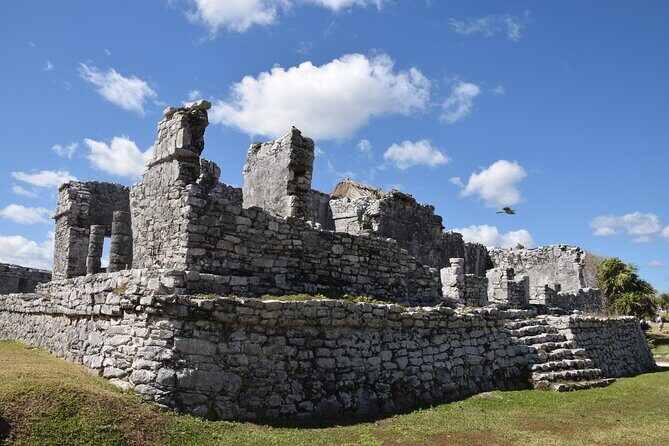 Tulum Ruins, Sea Turtles & Cenote Swim Adventure Tour - Cenote Nohoch Nah Chich: Caves, Stalactites, and Jungle Quiet
