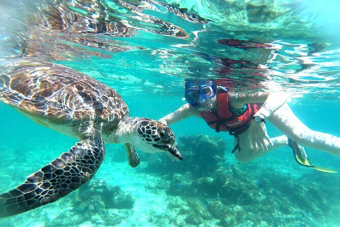 Tulum Ruins, Snorkeling with Turtles and Underground Caves - A 3-stop day built around ruins, reef, and underground swimming