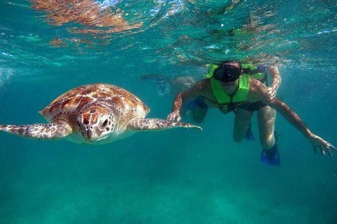 Tulum ruins swim with turtles in Akumal and Cenote - Tulum, Akumal, and Caracol Cenote: What This Day Trip Really Gives You