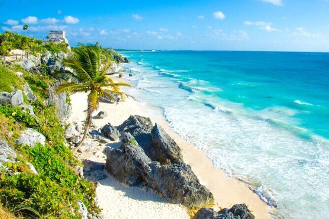 Tulum Ruins visit cenotes house turtle and Sculpture Come to Light - A One-Stop Day in Tulum That Fits Even If You’re Short on Time
