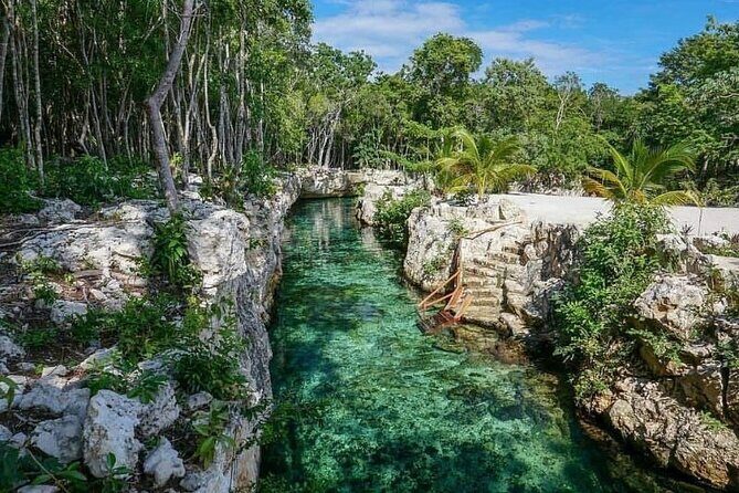 Tulum Ruins visit cenotes house turtle and Sculpture Come to Light - Stop 4: Playa del Carmen’s Quinta Avenida in 60 Minutes