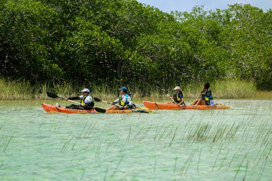 Tulum: Sian Ka'an Biosphere Reserve Kayak Tour - From Tulum to Sian Ka’an’s Wetlands: the start matters