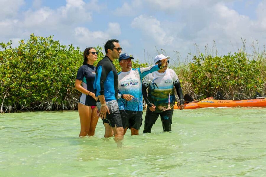 Tulum: Sian Ka'an Biosphere Reserve Kayak Tour - Laguna de Muyil by kayak: easy paddling, real ecosystem