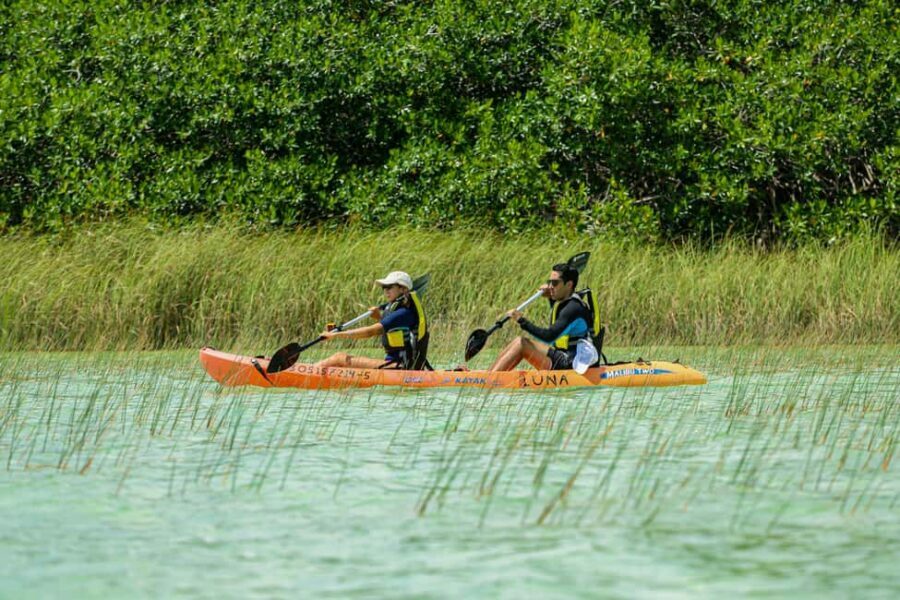 Tulum: Sian Ka'an Biosphere Reserve Kayak Tour - The Mayan canal story: why it feels historical