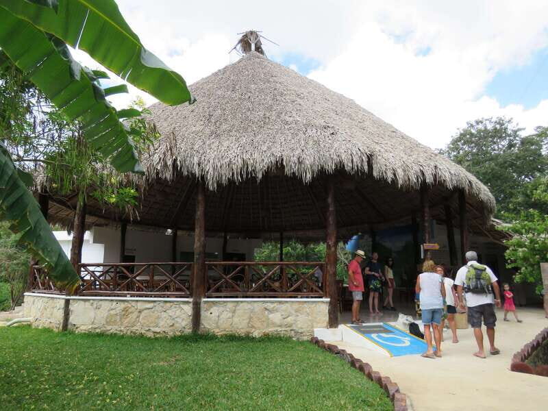 Tulum: Sian Ka'an Biosphere Reserve Kayak Tour - Bird spotting expectations: what you’ll actually see