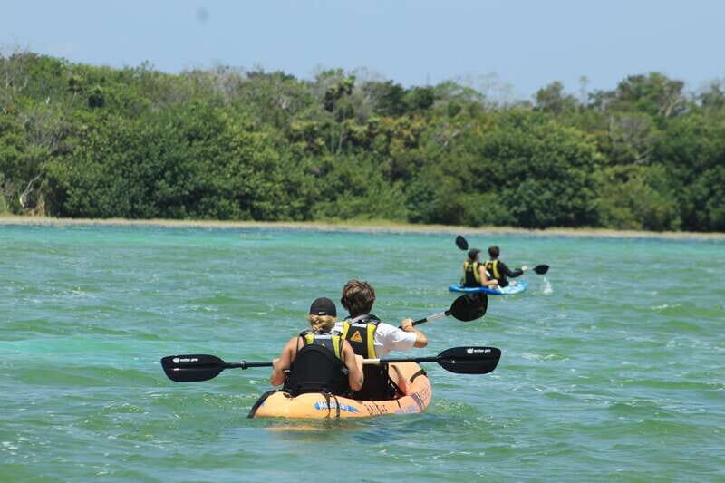 Tulum: Sian Ka'an Biosphere Reserve Kayak Tour - Price and value: why $109 is reasonable here