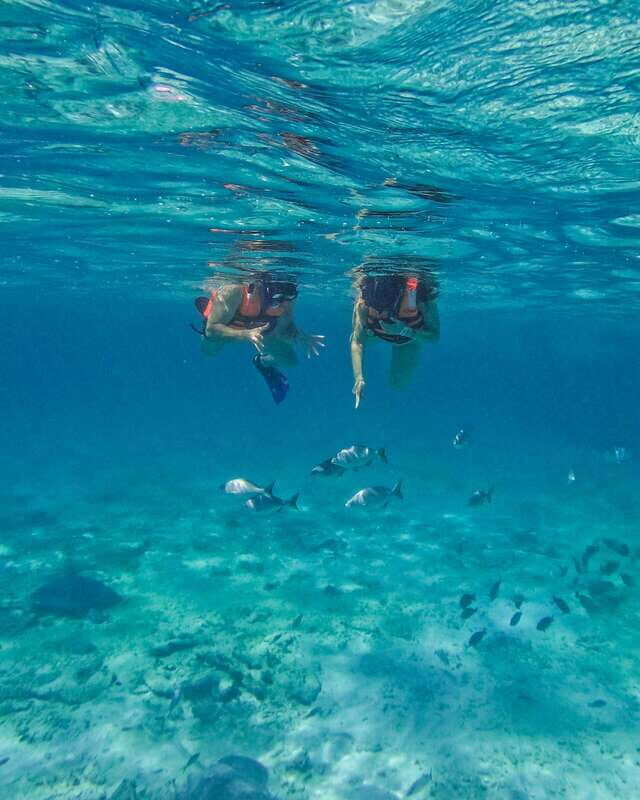 Tulum: Snorkeling at Paradise Reef - Who should book Paradise Reef snorkeling—and who might skip it