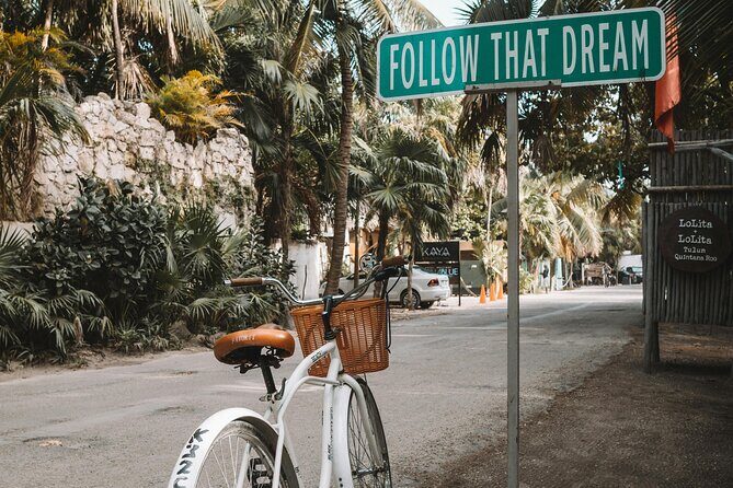 Tulum Transportation Service 24/7 The Most Reliable and safe. - Safety, Animals, and Accessibility Notes You Should Know