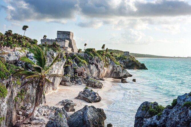 Tulum Turtle Encounter - The Best Private Turtles Snorkel Tour - Hotel Pickup and the Pace of an 8-Hour Day