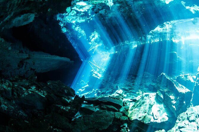 Tulum Turtle Encounter - The Best Private Turtles Snorkel Tour - Price and Value: Is $299 Per Person Reasonable?