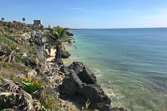 Tulum,Coba,Cenote & Playa Del Carmen + Transportation from Cancun - Stop 4: Playa del Carmen and Fifth Avenue in About One Hour