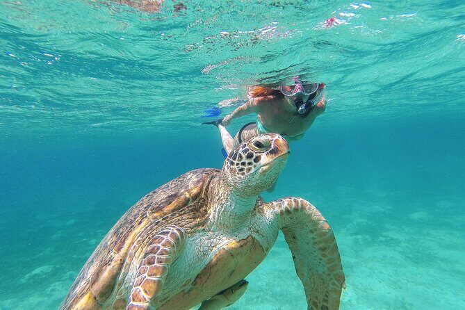 Turtle and Reef Sanctuary Snorkeling - Guide support: why Rocio and Antonio’s roles matter