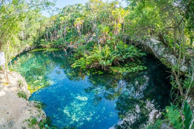 Turtle Encounter Private Tour – Swim with Sea Turtles & Cenote - Key highlights worth booking for