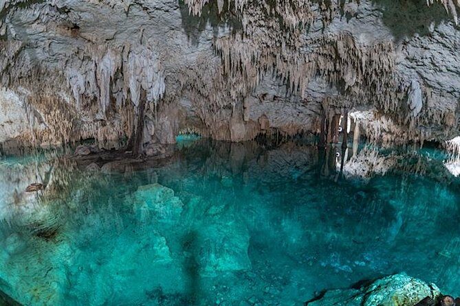 Turtle Encounter Private Tour – Swim with Sea Turtles & Cenote - Why Akumal + Cenotes works so well together