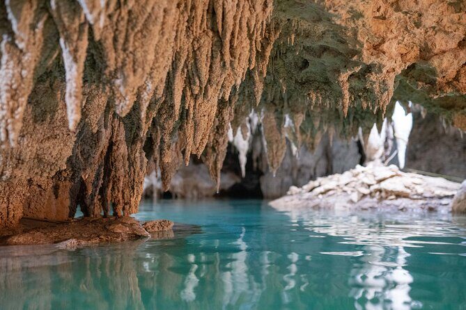 Turtle Snorkeling and Jungle Adventure with Cenote - Price and value: how $119 turns into a full-day deal