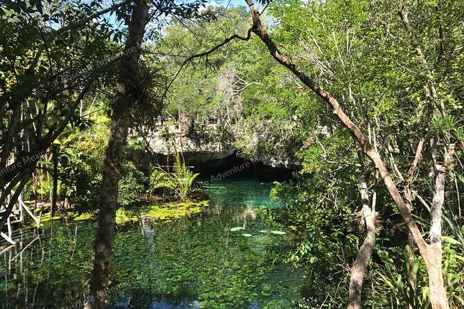 Turtle Snorkeling Private Tour – Sea Turtles & Cenote in Tulum - Cenote time in Tulum: picking your style at Nicte Ha and friends