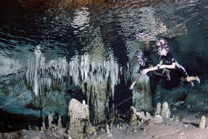 Turtle Snorkeling Private Tour – Sea Turtles & Cenote in Tulum - Parque Dos Ojos area: the lunch reset near the cenotes
