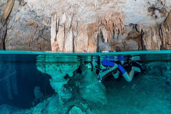 Turtle Snorkeling Private Tour – Sea Turtles & Cenote in Tulum - Who this tour suits best (and who should think twice)