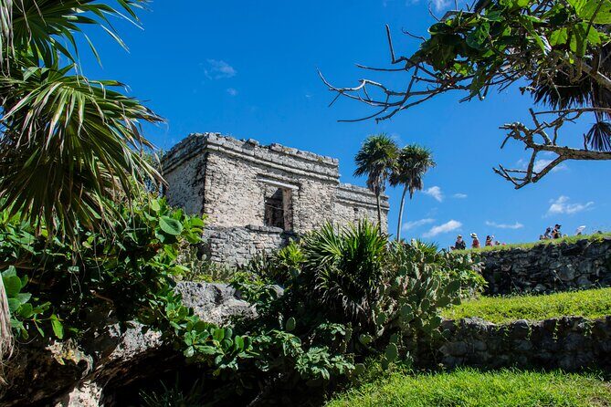 Turtle Swim & Tulum Ruins! With Cenote from Playa del Carmen - Tulum Ruins (and the giant blue letters) without rushing you