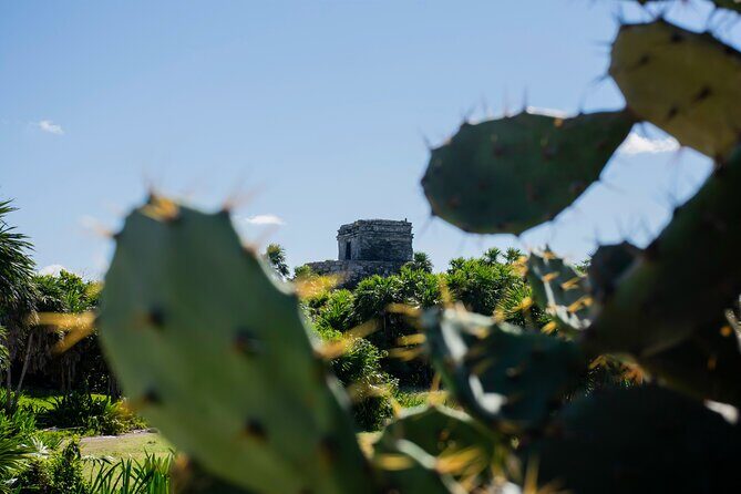 Turtle Swim & Tulum Ruins! With Cenote from Playa del Carmen - Who should book Turtle Swim & Tulum Ruins (and who might think twice)?