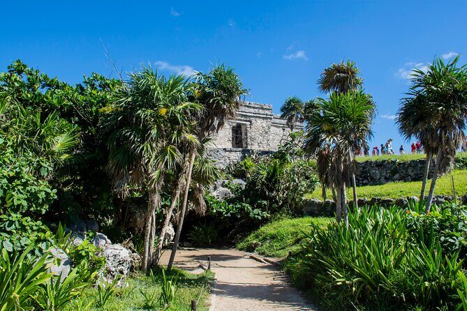 Turtle Swim & Tulum Ruins! With Cenote from Playa del Carmen - Should you book this tour?